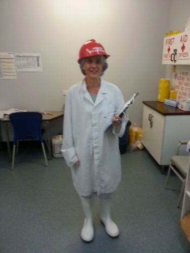 Well Now Health Solutions–Occupational Therapist - Australian Directory 1