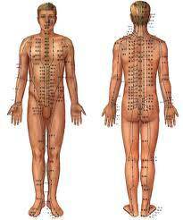 An Ping Traditional Chinese Health Centre - Australian Directory 0