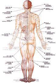 An Ping Traditional Chinese Health Centre - Australian Directory 2