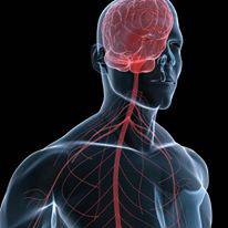 Scott Martin Acupuncture - Australian Directory 4