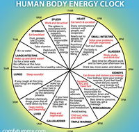 White Dragon Chinese Medicine - Australian Directory