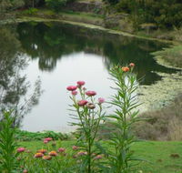 Banora Holistic Healing - Australian Directory