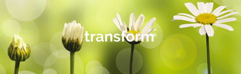 Achieve Business Dynamics - Australian Directory 1