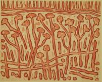 Northern Editions Printmaking Studio & Gallery - Australian Directory 2