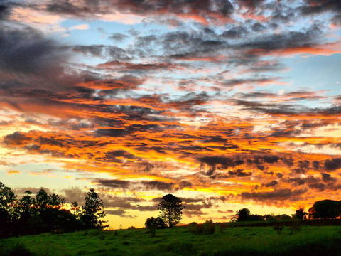 Yarraman Caravan Park - Australian Directory 3