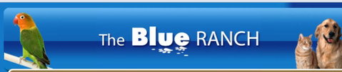 The Blue Ranch - Australian Directory 4