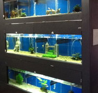 Illawarra Pet Supplies - Australian Directory