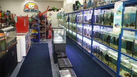 Pet Stop - Australian Directory 0