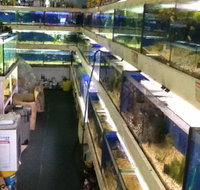 Clearwater Aquariums - Australian Directory