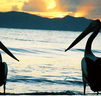 Villa Marine Cairns Beach Self Contained Holiday Apartments - Australian Directory