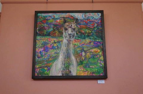Shellharbour City Arts Society Inc - Australian Directory 0