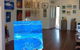 Shellharbour City Arts Society Inc - thumb 2