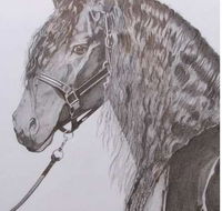Great Lakes Art Society - Australian Directory