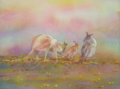 Territory Colours - Australian Directory 1