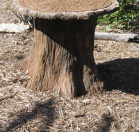The Rustic Emu Gallery - Australian Directory