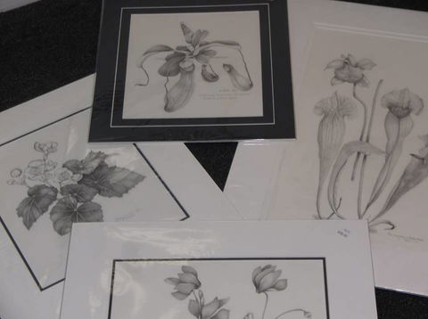 Masterpiece Framing & Gallery - Australian Directory 2