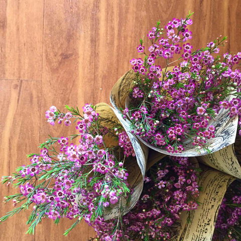 Bay Flowers And Gifts - Australian Directory 1