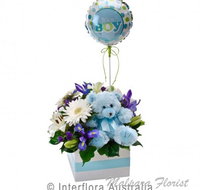 Malpara Florist - Australian Directory