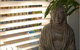 TK Noosa Shutters & Blinds - thumb 0