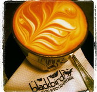 Blackbird Cafe - Australian Directory