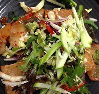 Kingscliff Surf Club - Cudgen Headland SLSC - Australian Directory