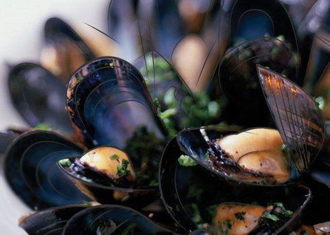 Peppermint Bay - Bar, Dining And Terrace - Australian Directory 6
