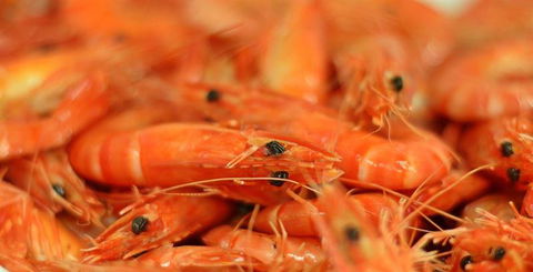 Wheelers Seafood Restaurant - Australian Directory 27