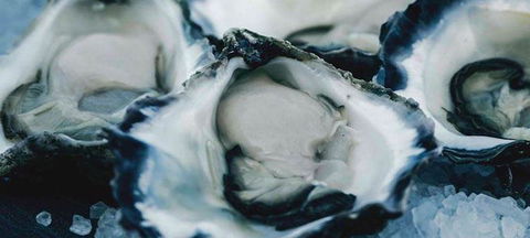 La Piazza - Australian Directory 0