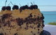 Sams Pizzeria On The Waterfront - thumb 1