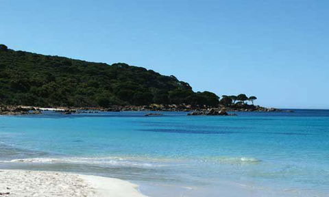 Bunkers Beach House - Australian Directory 10