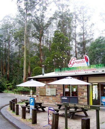 Kangaroo Island Fresh Seafoods And Takeaway - Australian Directory 5