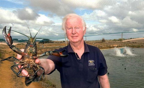 Marron Cafe - Australian Directory 14