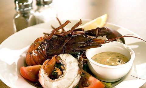 Marron Cafe - Australian Directory 5