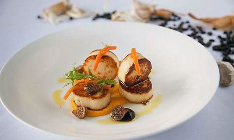 Stay Grounded - Australian Directory 0