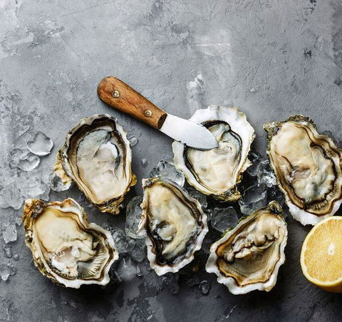 Stay Grounded - Australian Directory 8