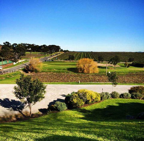 Maxwell Restaurant - Australian Directory 14