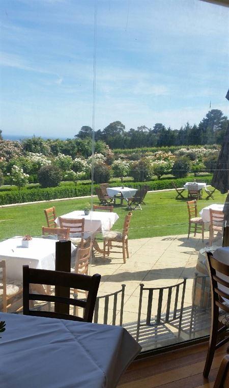 Morning Star Estate Venue - Australian Directory 13