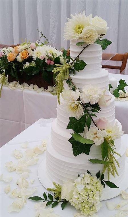 Morning Star Estate Venue - Australian Directory 4
