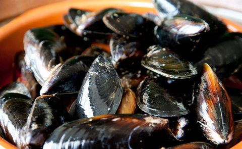 Palate - Australian Directory 13