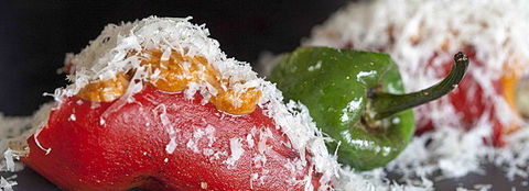 Palate - Australian Directory 28