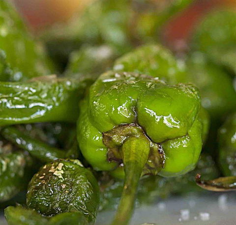 Palate - Australian Directory 7