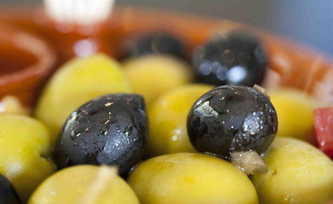 Palate - Australian Directory 8