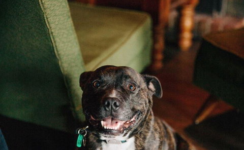 Waroona Hotel - Australian Directory 10