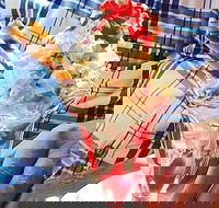 Jones Road Cellar Door - Australian Directory