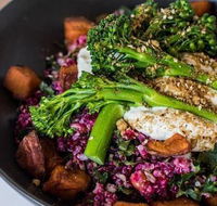 The Hungry Monkey - Australian Directory