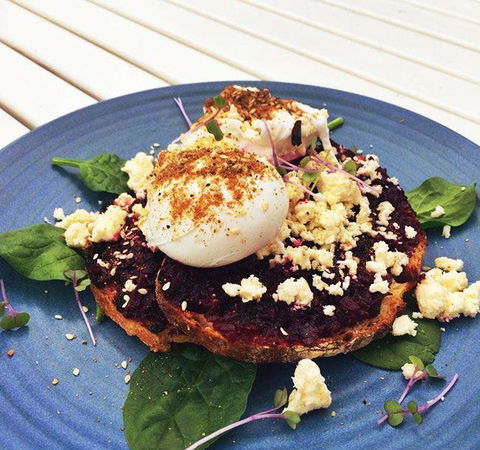 The Hungry Monkey - Australian Directory 15