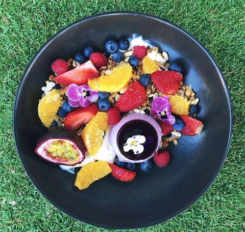 The Hungry Monkey - Australian Directory 17