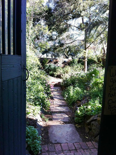 Lavande Of Callington - Australian Directory 3