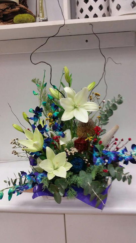 Silver Grevillea - Australian Directory 4