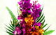 Green Goddess Florist - thumb 0